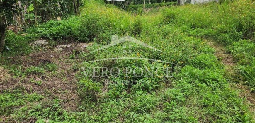 Guadalupe Barreal / 366.75 m2 / Terreno en Venta (2302-792)