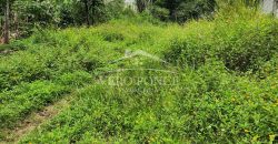 Guadalupe Barreal / 366.75 m2 / Terreno en Venta (2302-792)