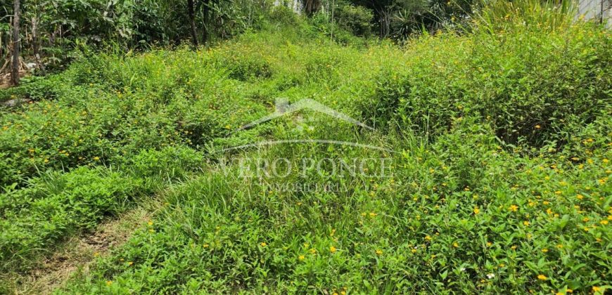 Guadalupe Barreal / 366.75 m2 / Terreno en Venta (2302-792)