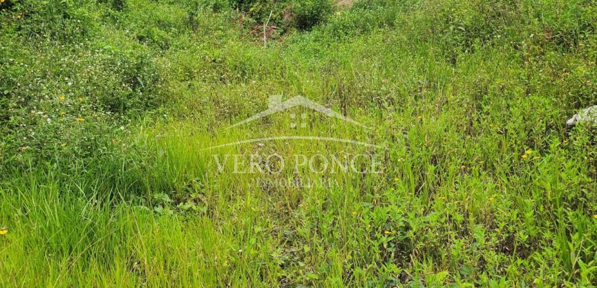 Guadalupe Barreal / 366.75 m2 / Terreno en Venta (2302-792)