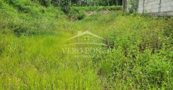 Guadalupe Barreal / 366.75 m2 / Terreno en Venta (2302-792)