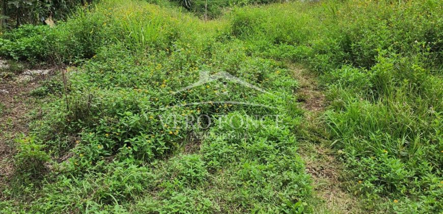 Guadalupe Barreal / 366.75 m2 / Terreno en Venta (2302-792)