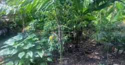 Rafael Alvarado, Orizaba / 400 m2 / Terreno en Venta (2301-798)