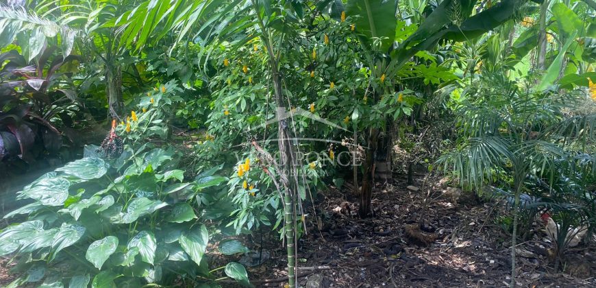 Rafael Alvarado, Orizaba / 400 m2 / Terreno en Venta (2301-798)