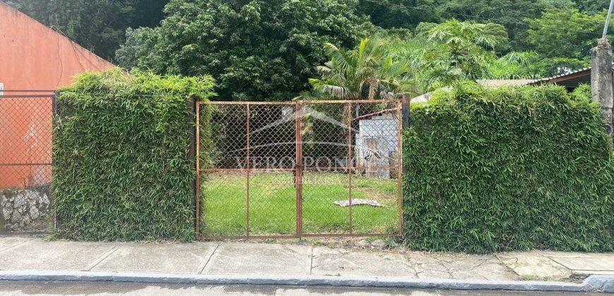 Rafael Alvarado, Orizaba / 400 m2 / Terreno en Venta (2301-798)