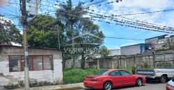 (Rentado) Colonia Miguel Hidalgo / 700 m2 / Terreno en Renta (2321-799)