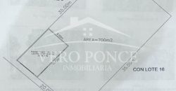 (Rentado) Colonia Miguel Hidalgo / 700 m2 / Terreno en Renta (2321-799)