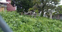 (Rentado) Colonia Miguel Hidalgo / 700 m2 / Terreno en Renta (2321-799)