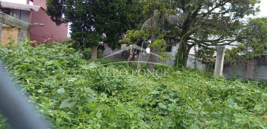 (Rentado) Colonia Miguel Hidalgo / 700 m2 / Terreno en Renta (2321-799)