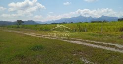 San Miguelito / 4 ha / Terreno en Venta (2301-816)