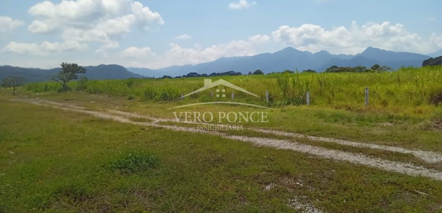 San Miguelito / 4 ha / Terreno en Venta (2301-816)