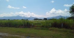 San Miguelito / 4 ha / Terreno en Venta (2301-816)