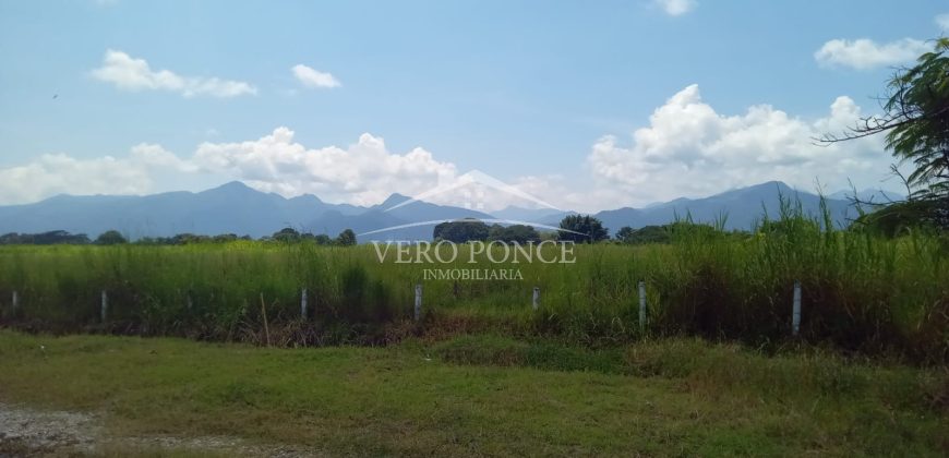 San Miguelito / 4 ha / Terreno en Venta (2301-816)