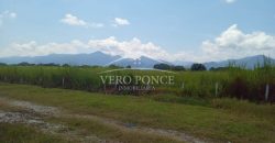 San Miguelito / 4 ha / Terreno en Venta (2301-816)