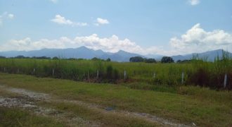 San Miguelito / 4 ha / Terreno en Venta (2301-816) San Miguelito / 4 ha / Terreno en Venta (2301-816)