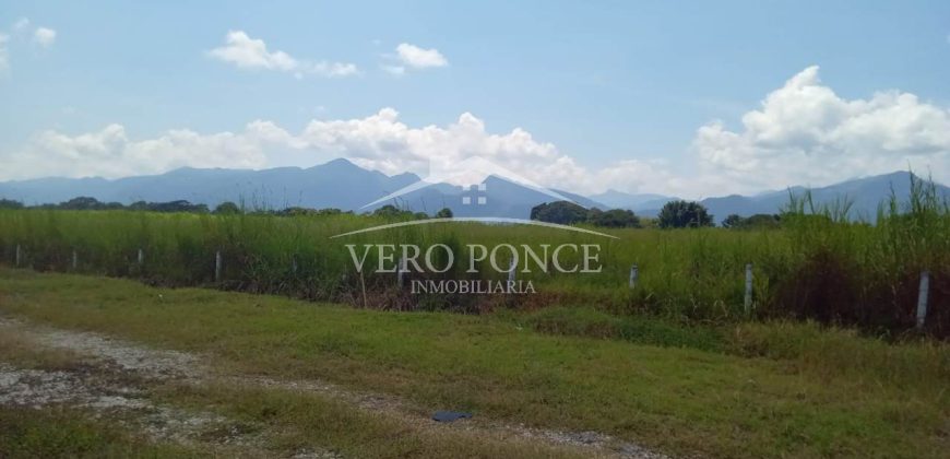 San Miguelito / 4 ha / Terreno en Venta (2301-816)