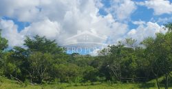 Barreal / 1000 m2 / Terreno en Venta (2301-821)