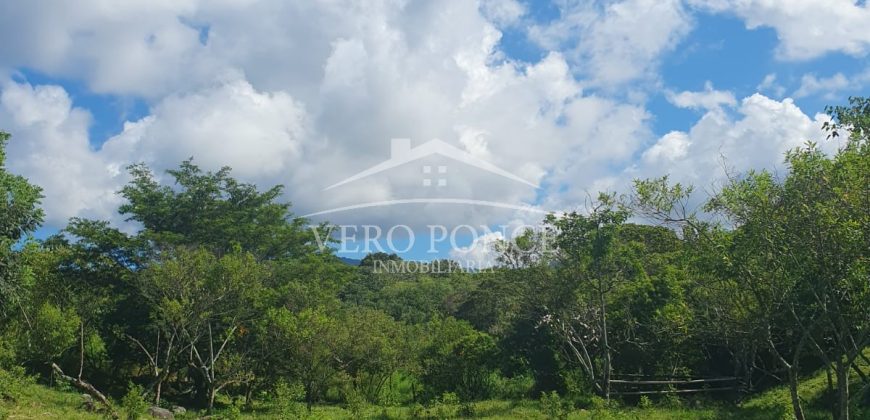 Barreal / 1000 m2 / Terreno en Venta (2301-821)