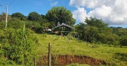 Barreal / 1000 m2 / Terreno en Venta (2301-821)