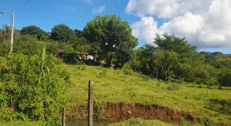 Barreal / 1000 m2 / Terreno en Venta (2301-821) Barreal / 1000 m2 / Terreno en Venta (2301-821)