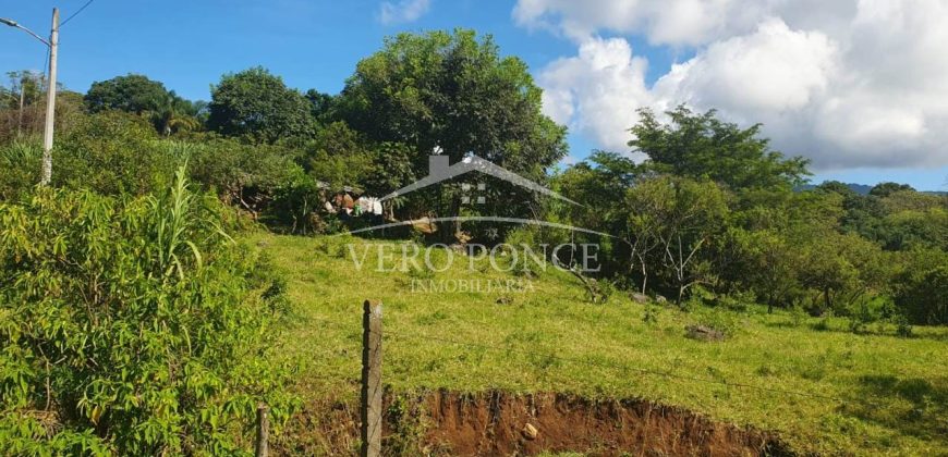 Barreal / 1000 m2 / Terreno en Venta (2301-821)