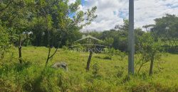 Barreal / 1000 m2 / Terreno en Venta (2301-821)