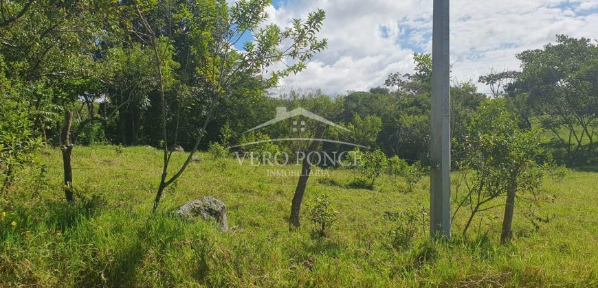 Barreal / 1000 m2 / Terreno en Venta (2301-821)