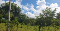 Barreal / 1000 m2 / Terreno en Venta (2301-821)