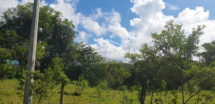 Barreal / 1000 m2 / Terreno en Venta (2301-821)