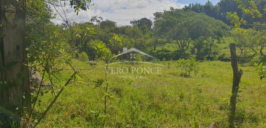 Barreal / 1000 m2 / Terreno en Venta (2301-821)