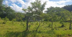 Barreal / 1000 m2 / Terreno en Venta (2301-821)