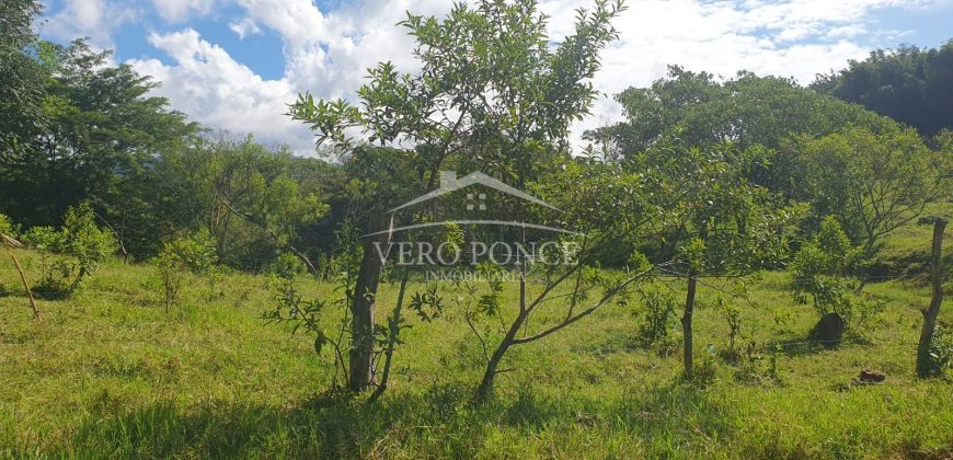 Barreal / 1000 m2 / Terreno en Venta (2301-821)