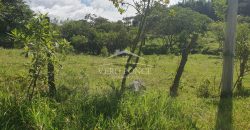 Barreal / 1000 m2 / Terreno en Venta (2301-821)