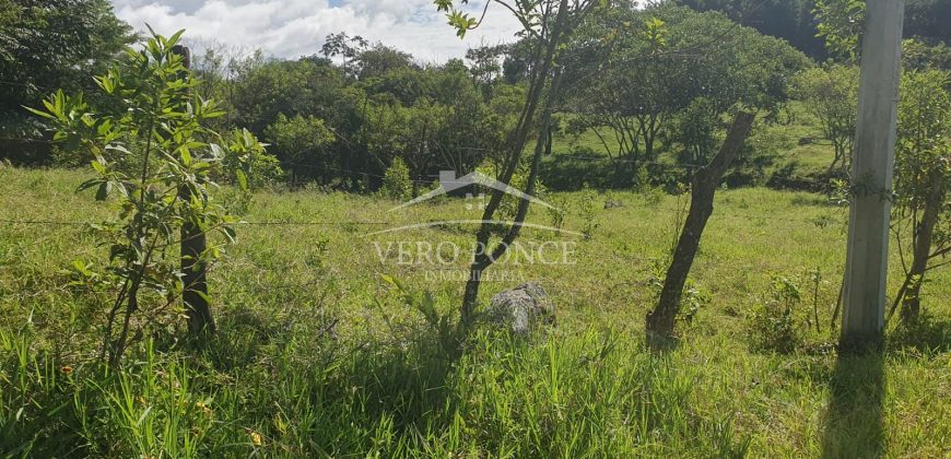 Barreal / 1000 m2 / Terreno en Venta (2301-821)