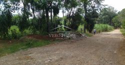 La Huerta / 5000 m2 / Terreno en Venta (2301-853)