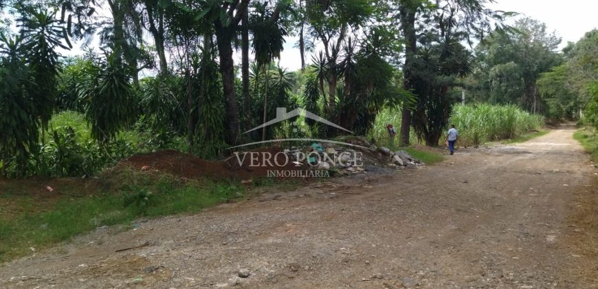 La Huerta / 5000 m2 / Terreno en Venta (2301-853)