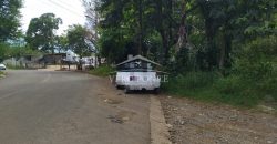 La Huerta / 5000 m2 / Terreno en Venta (2301-853)