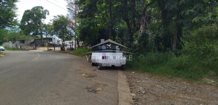 La Huerta / 5000 m2 / Terreno en Venta (2301-853)