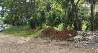 La Huerta / 5000 m2 / Terreno en Venta (2301-853) La Huerta / 5000 m2 / Terreno en Venta (2301-853)
