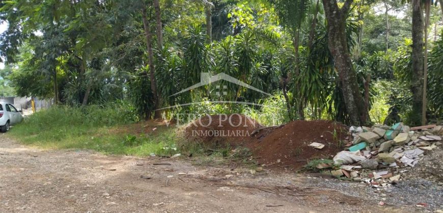 La Huerta / 5000 m2 / Terreno en Venta (2301-853)
