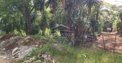 La Huerta / 5000 m2 / Terreno en Venta (2301-853)