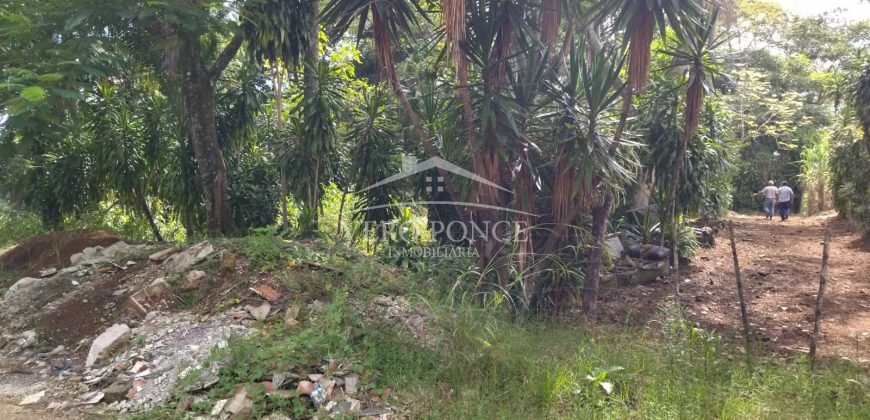 La Huerta / 5000 m2 / Terreno en Venta (2301-853)