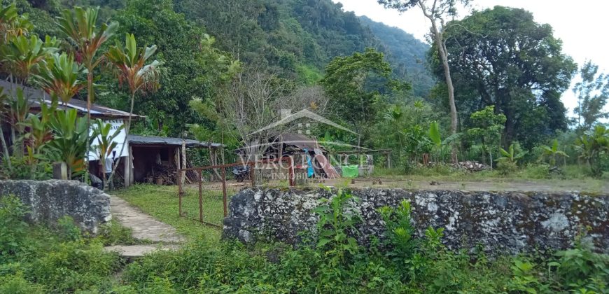 Acayotla / 1550 m2 / Terreno en Venta (2301-854)