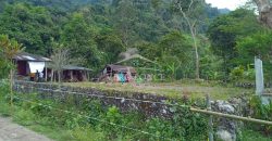 Acayotla / 1550 m2 / Terreno en Venta (2301-854)