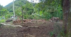 Acayotla / 1550 m2 / Terreno en Venta (2301-854)