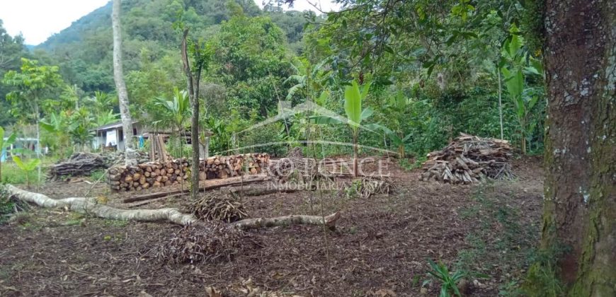 Acayotla / 1550 m2 / Terreno en Venta (2301-854)