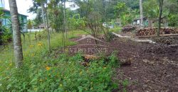 Acayotla / 1550 m2 / Terreno en Venta (2301-854)