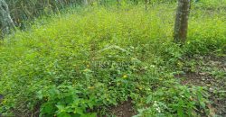 Acayotla / 1550 m2 / Terreno en Venta (2301-854)