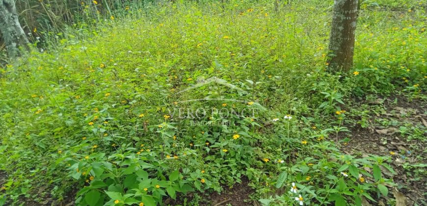 Acayotla / 1550 m2 / Terreno en Venta (2301-854)