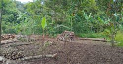 Acayotla / 1550 m2 / Terreno en Venta (2301-854)